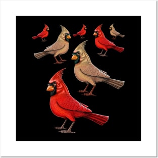 Red Cardinal birds Posters and Art